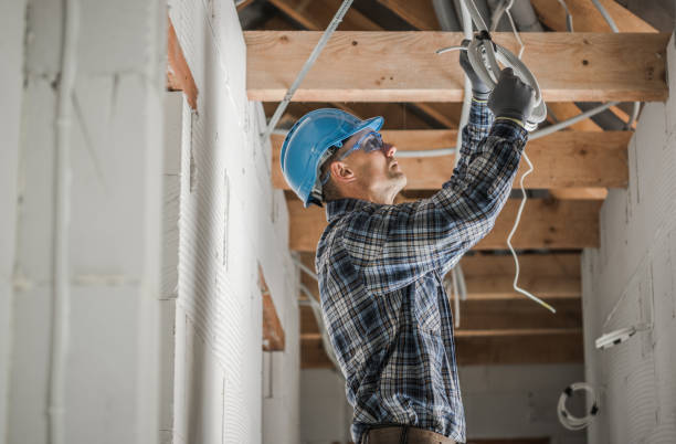 Best Electric Panel Repair  in Brundidge, AL