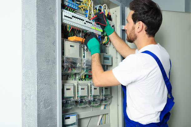 Best Local Electrician Companies  in Brundidge, AL