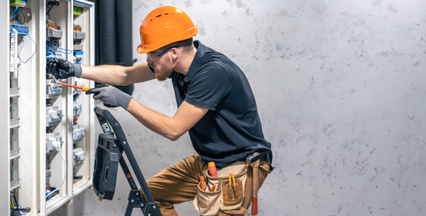 Best Generator Installation Services  in Brundidge, AL